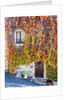 Autumn foliage around Tuscan Villa by Anonymous