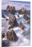 Spectacular and poetic view of rock formation called Gigi Hiu (Shark's Teeth), Lampung by Anonymous