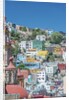 Rooftop View of Guanajuato by Anonymous