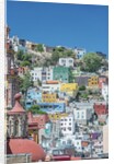 Rooftop View of Guanajuato by Anonymous