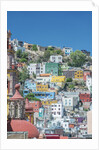 Rooftop View of Guanajuato by Anonymous