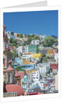 Rooftop View of Guanajuato by Anonymous