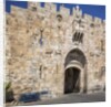 Old Town, the Lions' Gate (also known as St. Stephen's Gate) by Anonymous