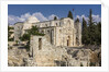 Old Town, Muslim Quarter, the Pool of Bethesda and the Church of St. Anne by Anonymous