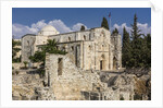 Old Town, Muslim Quarter, the Pool of Bethesda and the Church of St. Anne by Anonymous