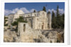 Old Town, Muslim Quarter, the Pool of Bethesda and the Church of St. Anne by Anonymous