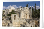 Old Town, Muslim Quarter, the Pool of Bethesda and the Church of St. Anne by Anonymous
