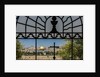 View of the Old Town with the Dome of the Rock from the Catholic Franciscan church of Dominus Flevit by Anonymous