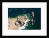 Lands End, Cabo San Lucas, Baja California Sur, Mexico by Anonymous