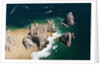 Lands End, Cabo San Lucas, Baja California Sur, Mexico by Anonymous