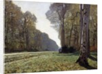 The Path of Chailly by Claude Monet