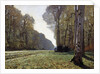 The Path of Chailly by Claude Monet