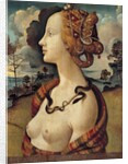 Portrait of a woman named Simonetta Vespucci - by Piero di Cosimo