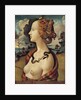 Portrait of a woman named Simonetta Vespucci - by Piero di Cosimo