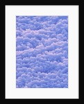 Glacial Ice by Anonymous