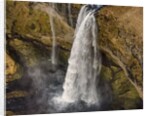 Aerial view of Seljalandsfoss Waterfall, Iceland by Anonymous