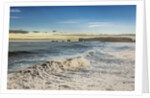 Waves crashing on the beach, Dyrholaey, Iceland by Anonymous