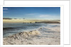 Waves crashing on the beach, Dyrholaey, Iceland by Anonymous