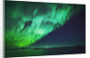 Aurora Borealis or Northern Lights, Iceland by Anonymous