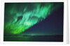 Aurora Borealis or Northern Lights, Iceland by Anonymous