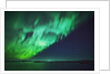 Aurora Borealis or Northern Lights, Iceland by Anonymous