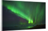 Aurora Borealis or Northern Lights, Iceland by Anonymous