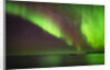 Aurora Borealis or Northern Lights, Iceland by Anonymous