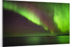 Aurora Borealis or Northern Lights, Iceland by Anonymous