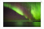 Aurora Borealis or Northern Lights, Iceland by Anonymous