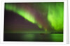 Aurora Borealis or Northern Lights, Iceland by Anonymous