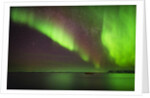 Aurora Borealis or Northern Lights, Iceland by Anonymous