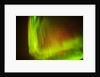 Aurora Borealis or Northern Lights, Iceland by Anonymous