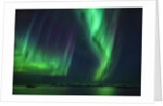 Aurora Borealis or Northern Lights, Iceland by Anonymous
