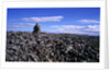 Stacked rock sculpture among rocky coastline. by Anonymous