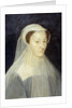 Portrait of Mary Stuart by the studio of Francois Clouet by Anonymous