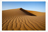 Sand dunes by Anonymous