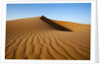 Sand dunes by Anonymous