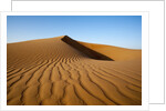 Sand dunes by Anonymous
