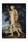 The goddess Diana the Huntress by Anonymous