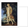 The goddess Diana the Huntress by Anonymous