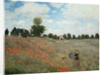 Poppy Field - by Claude Monet