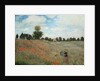 Poppy Field - by Claude Monet
