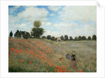 Poppy Field - by Claude Monet