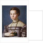 Portrait of a Little Girl with a Book by Agnolo Bronzino