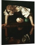 Narcissus by Michelangelo Merisi da Caravaggio