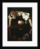 Narcissus by Michelangelo Merisi da Caravaggio