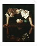 Narcissus by Michelangelo Merisi da Caravaggio