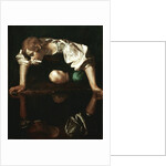 Narcissus by Michelangelo Merisi da Caravaggio