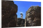 The roman forum. by Anonymous