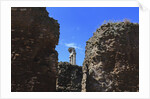 The roman forum. by Anonymous